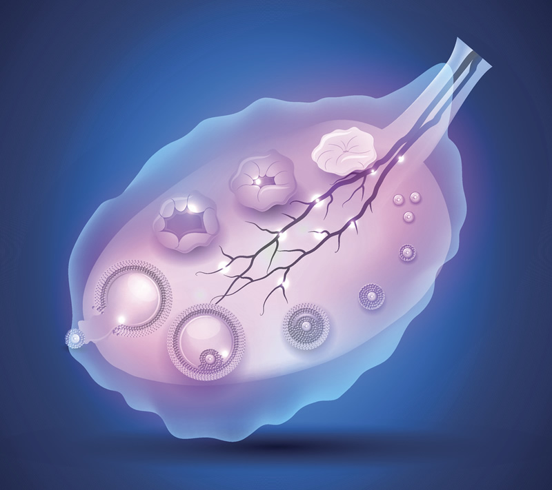 2026年太原高龄试管婴儿医院排名与正规机构价格指南：山西医科大学医院等领衔